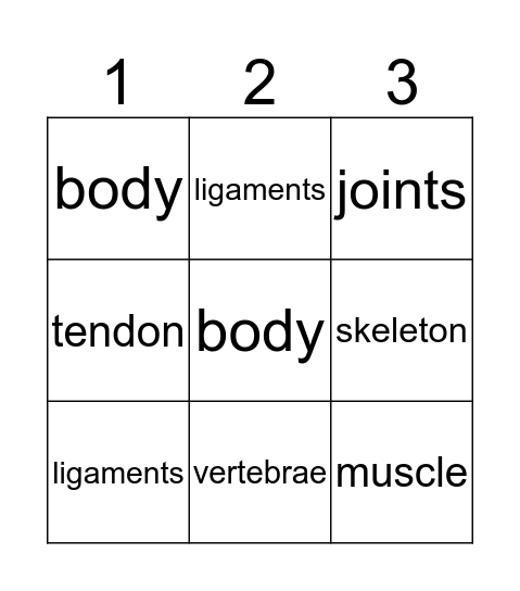 Bones & Muscles Bingo Card