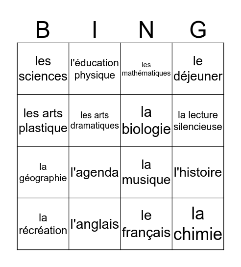 Sujets en Français Bingo Card