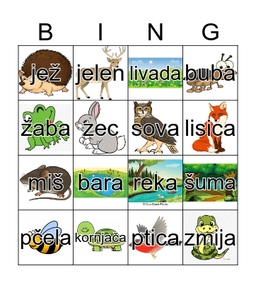 Životinje i staništa Bingo Card