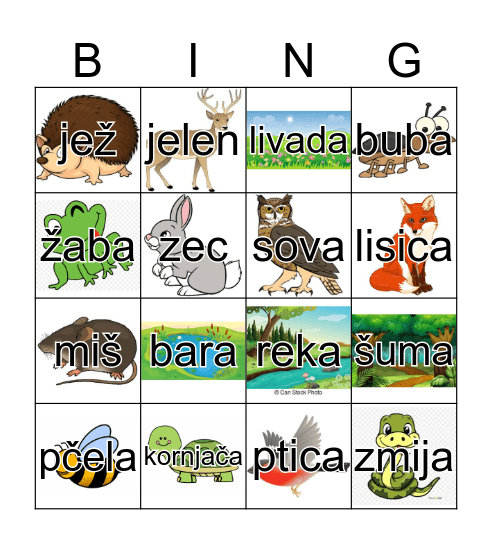Životinje i staništa Bingo Card
