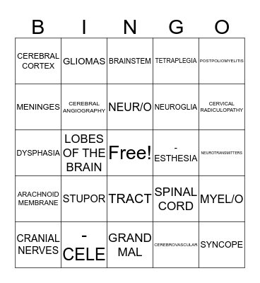 Medical Terms -- Nervous System Bingo Card