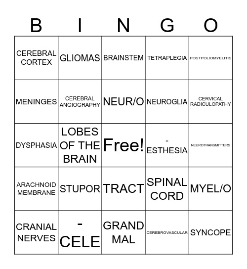 Medical Terms -- Nervous System Bingo Card