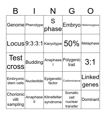 Unit 2 Bingo Card