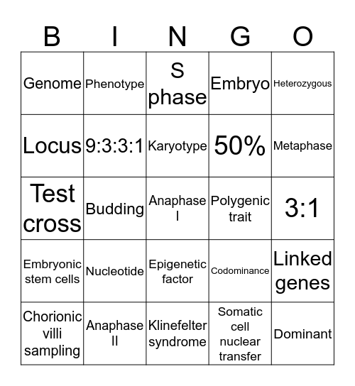 Unit 2 Bingo Card