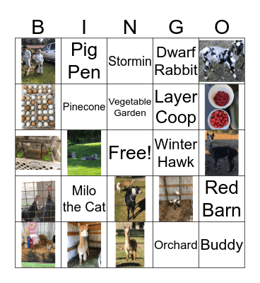 Hidden Prairie Farm Bingo Card