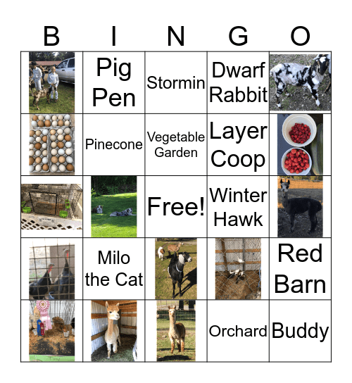 Hidden Prairie Farm Bingo Card