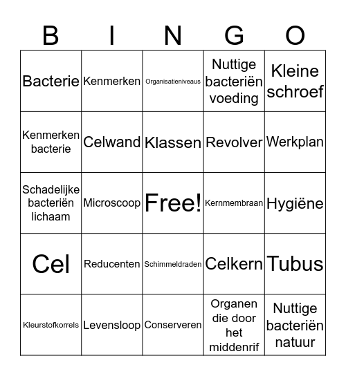 Begrippen Bingo Card