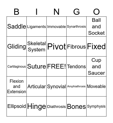 The Articular System Bingo Card