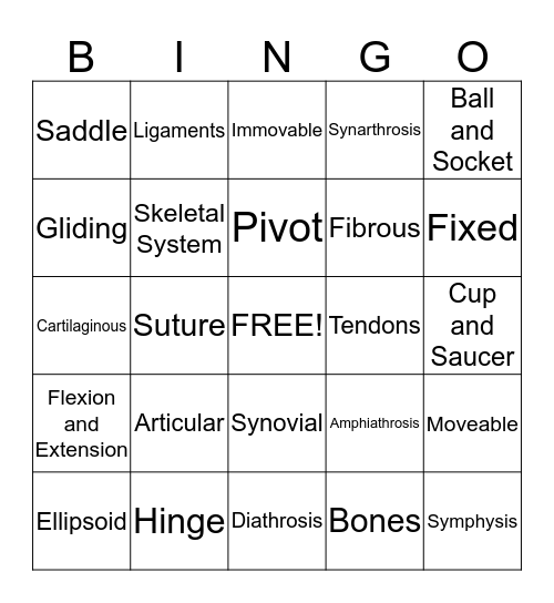 The Articular System Bingo Card