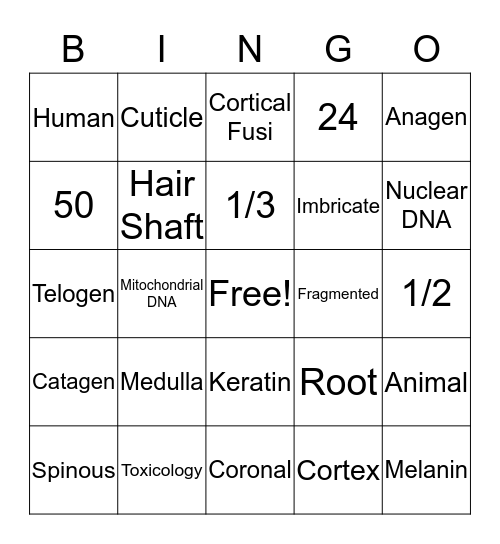 Hair Review Bingo Card