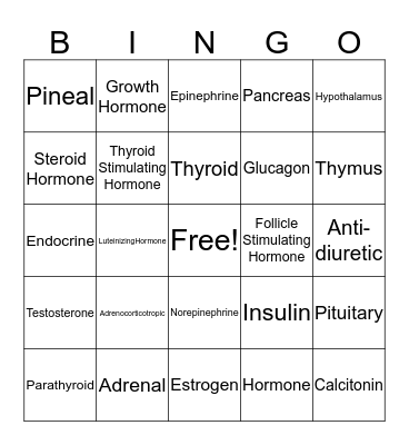 Endocrine System Bingo Card