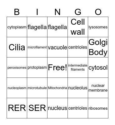 Organelles Bingo Card