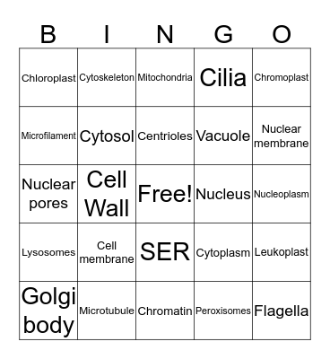 Birb Bingo Card