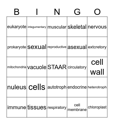 Cell and Human Body Bingo Card