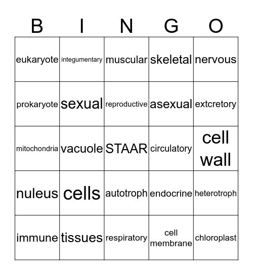 Cell and Human Body Bingo Card