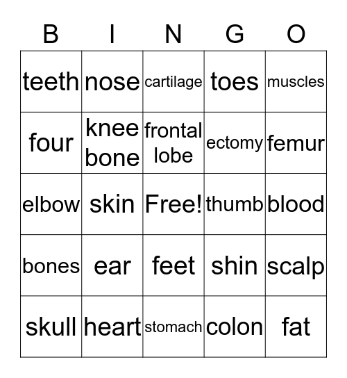 Anatomy Bingo Card