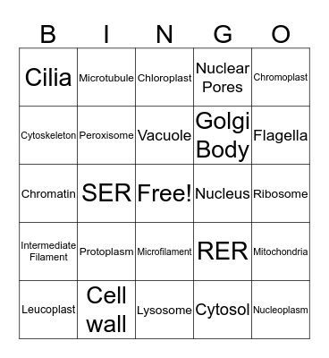 Cell Unit Bingo Card