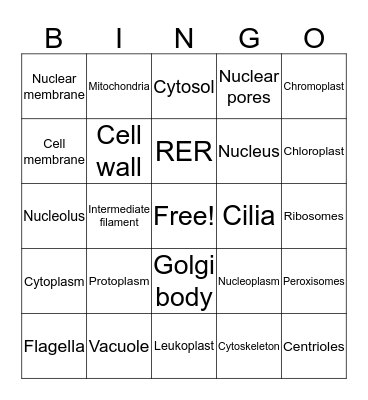 Cell unit bingo Card