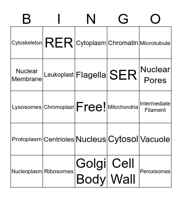 Cell Unit Bingo Card