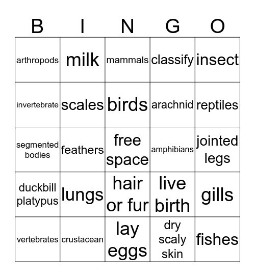 Classifying Animals Bingo Card