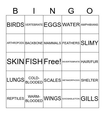 ANIMAL KINGDOM BINGO Card