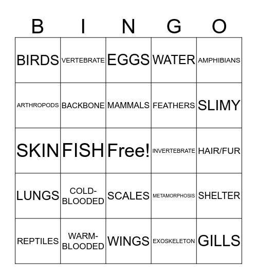 ANIMAL KINGDOM BINGO Card