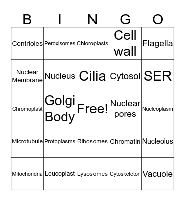 Cell Terms Bingo Card