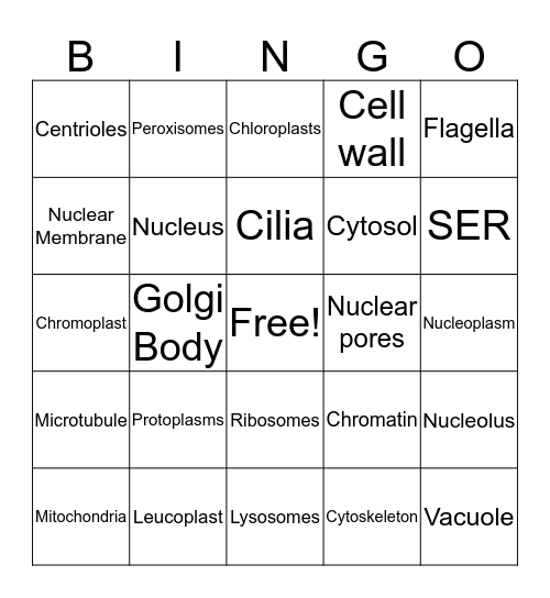 Cell Terms Bingo Card