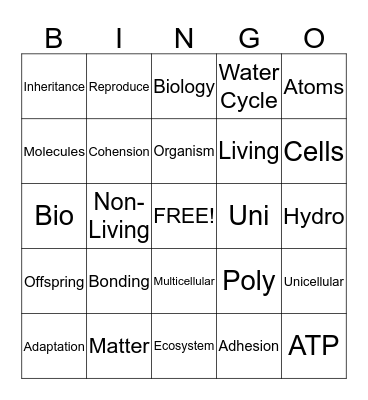 Biology Review 1 Bingo Card