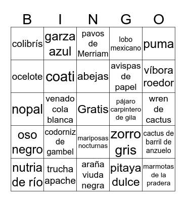 Desert Museum Bingo Card