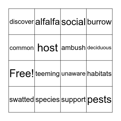 Vocabulary Bingo Card