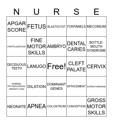 Chapter 6 Prenatal Period to 1 Year Bingo Card