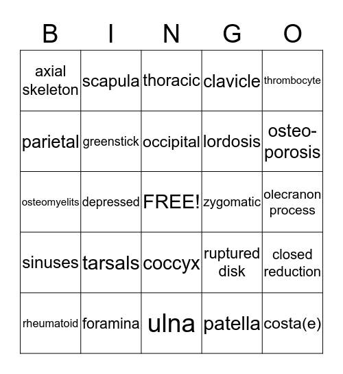 Skeletal System Bingo Card