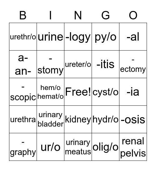 Urinary System Bingo Card