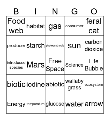 Life Bubble in the Milky Way Bingo Card