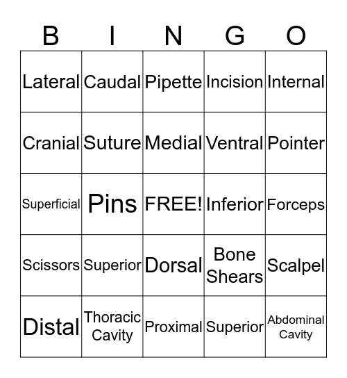 Dissection Terms and Tools Bingo Card
