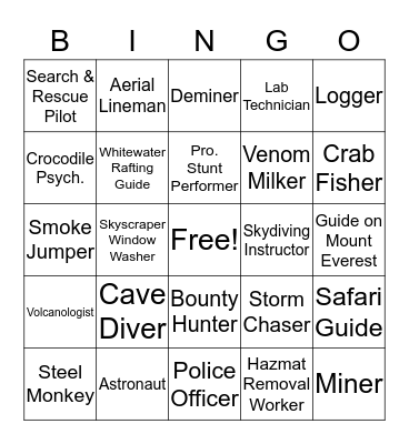 Extreme Careers Bingo Card