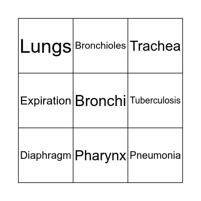RESPIRATORY SYSTEM Bingo Card