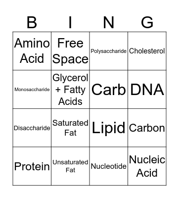 Macromolecules Bingo Card