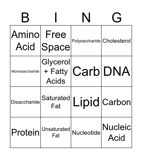 Macromolecules Bingo Card