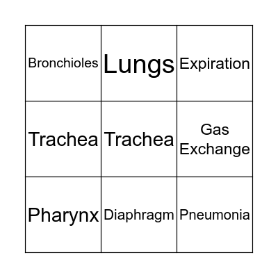 RESPIRATORY SYSTEM Bingo Card