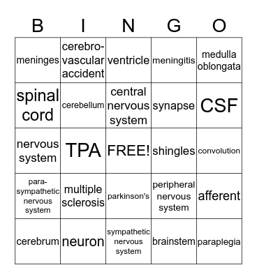 Nervous System Bingo Card