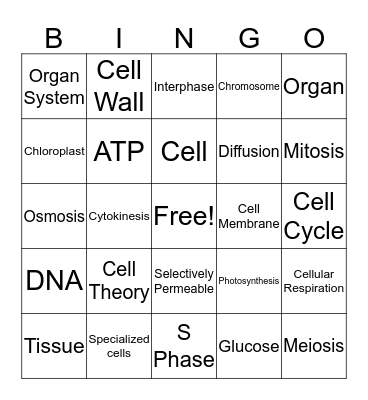 Cellular Biology Bingo Card