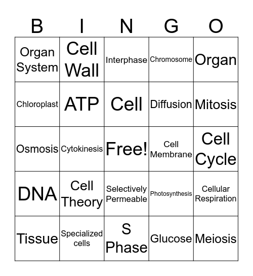Cellular Biology Bingo Card
