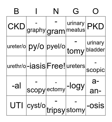Urinary System Bingo Card