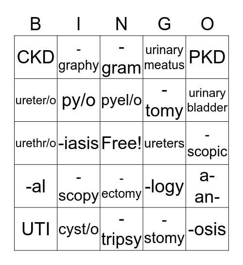 Urinary System Bingo Card