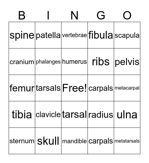 My Bones Bingo Card