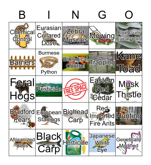 Invasive Bingo Card