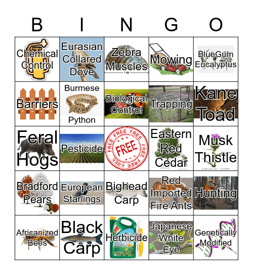 Invasive Bingo Card