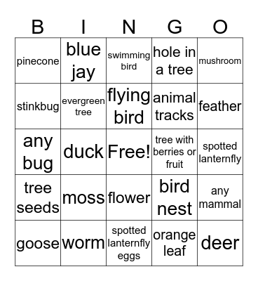 Fall Nature Bingo! Bingo Card